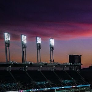 Meet your Posher, Cheyenne